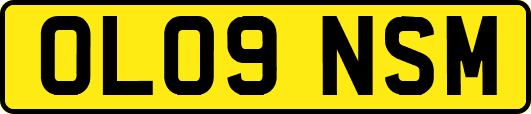 OL09NSM