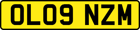 OL09NZM