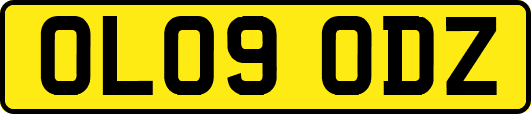 OL09ODZ