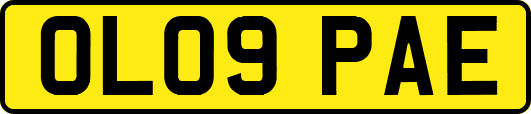 OL09PAE