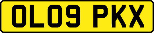 OL09PKX