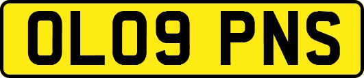 OL09PNS