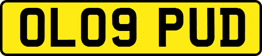 OL09PUD