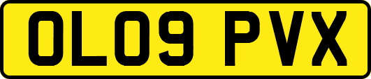 OL09PVX