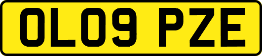 OL09PZE