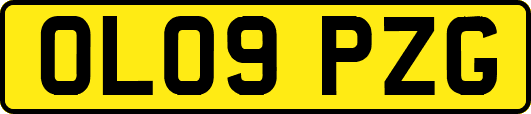 OL09PZG