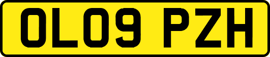 OL09PZH