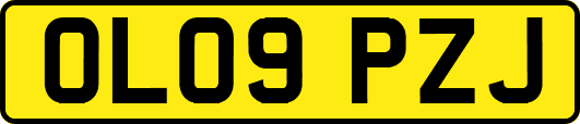 OL09PZJ