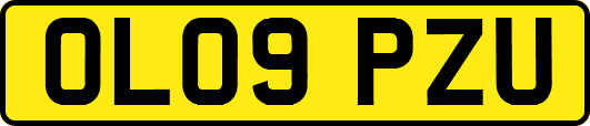 OL09PZU