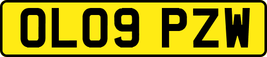 OL09PZW