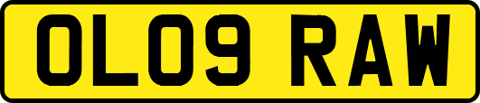 OL09RAW