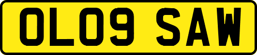 OL09SAW