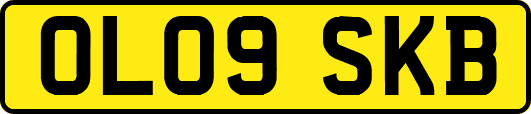 OL09SKB
