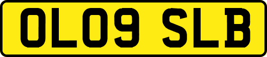 OL09SLB