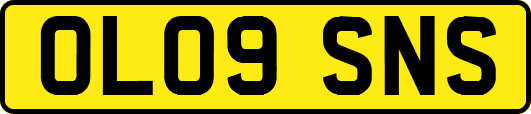 OL09SNS
