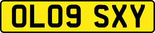 OL09SXY