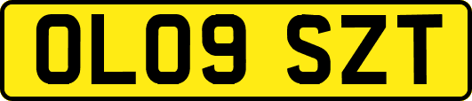 OL09SZT