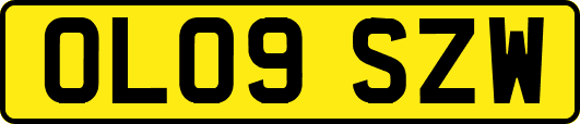 OL09SZW