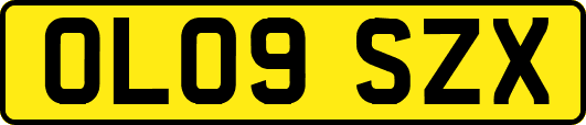OL09SZX