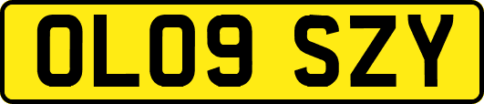 OL09SZY