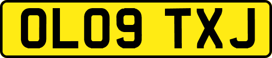 OL09TXJ