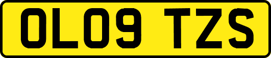 OL09TZS