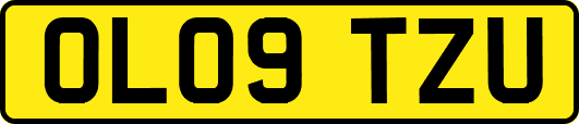 OL09TZU