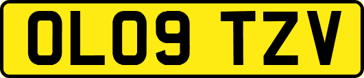 OL09TZV