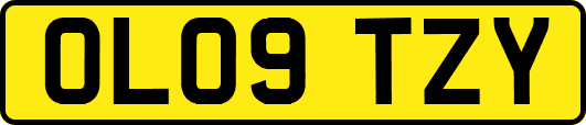 OL09TZY