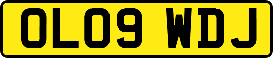 OL09WDJ