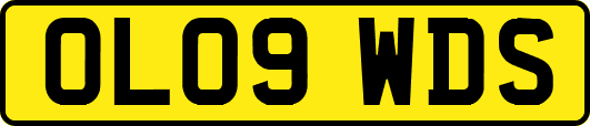 OL09WDS