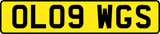 OL09WGS