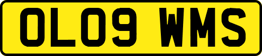 OL09WMS