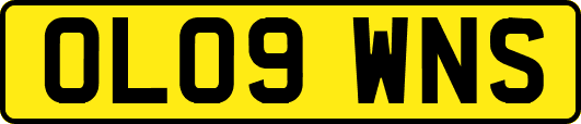 OL09WNS