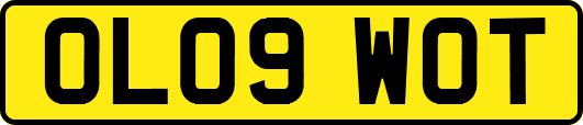 OL09WOT