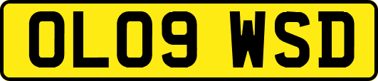 OL09WSD