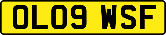 OL09WSF