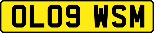OL09WSM