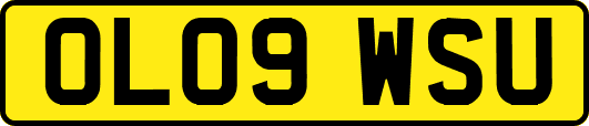 OL09WSU