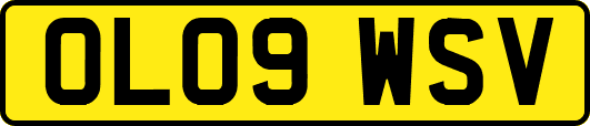 OL09WSV