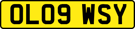 OL09WSY