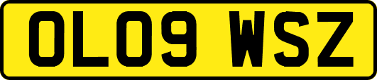 OL09WSZ