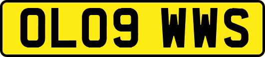 OL09WWS