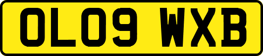 OL09WXB