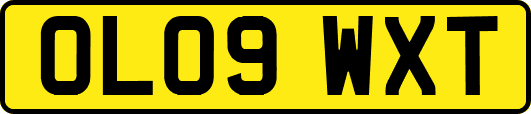 OL09WXT