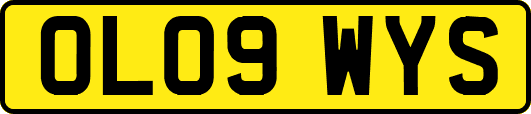 OL09WYS