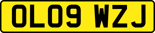 OL09WZJ