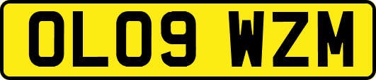 OL09WZM