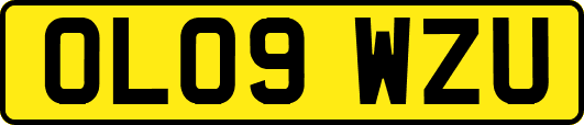 OL09WZU