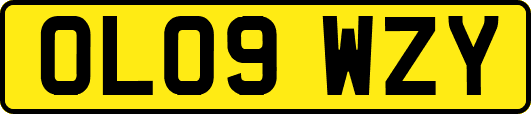 OL09WZY